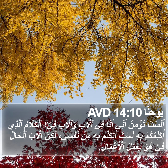 يوحنَّا 14:10 AVD Bible Study