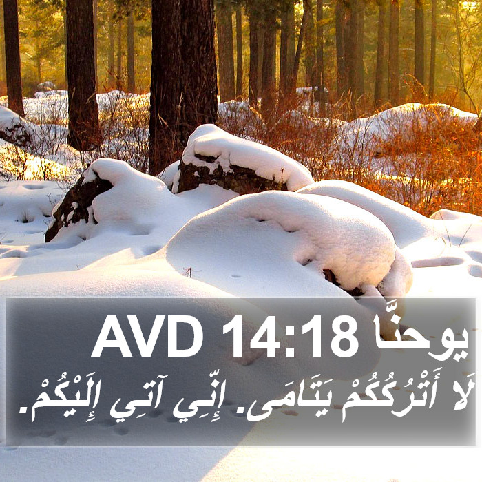 يوحنَّا 14:18 AVD Bible Study