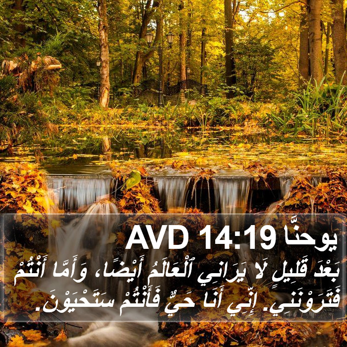 يوحنَّا 14:19 AVD Bible Study