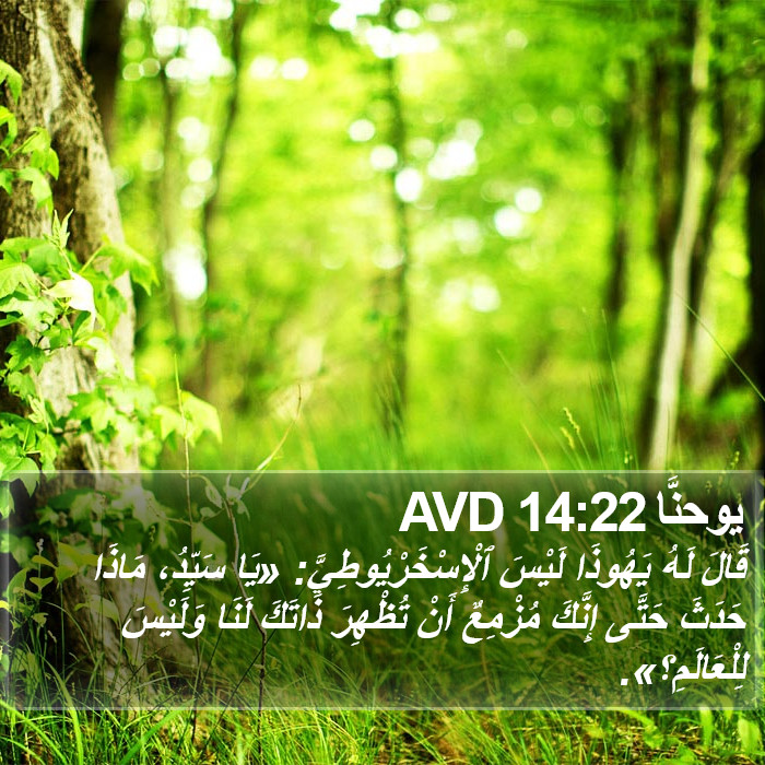 يوحنَّا 14:22 AVD Bible Study
