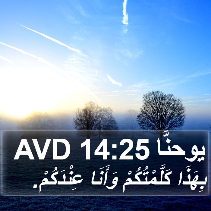 يوحنَّا 14:25 AVD Bible Study