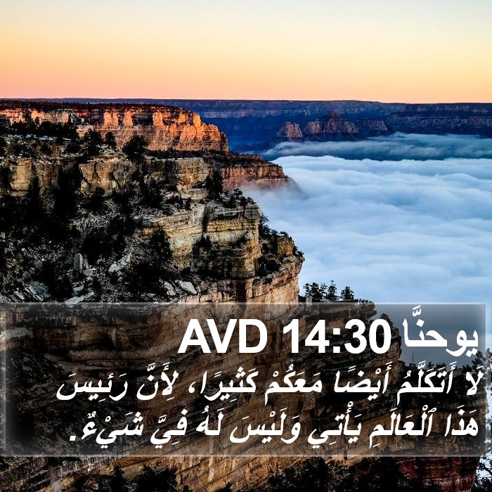 يوحنَّا 14:30 AVD Bible Study
