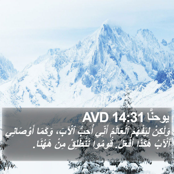 يوحنَّا 14:31 AVD Bible Study