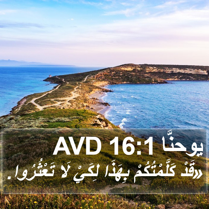 يوحنَّا 16:1 AVD Bible Study
