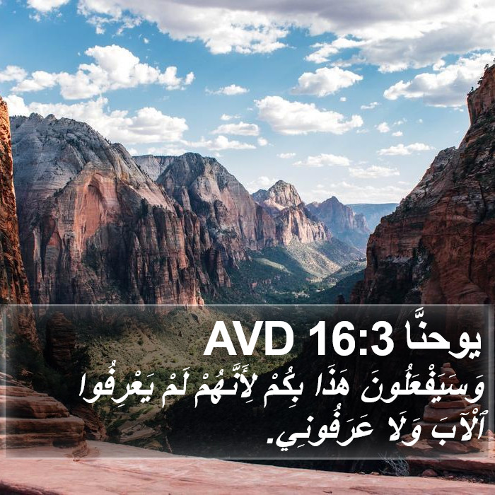 يوحنَّا 16:3 AVD Bible Study