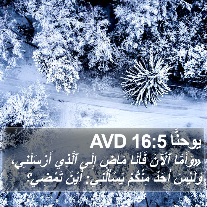 يوحنَّا 16:5 AVD Bible Study