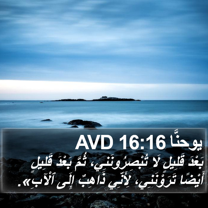 يوحنَّا 16:16 AVD Bible Study