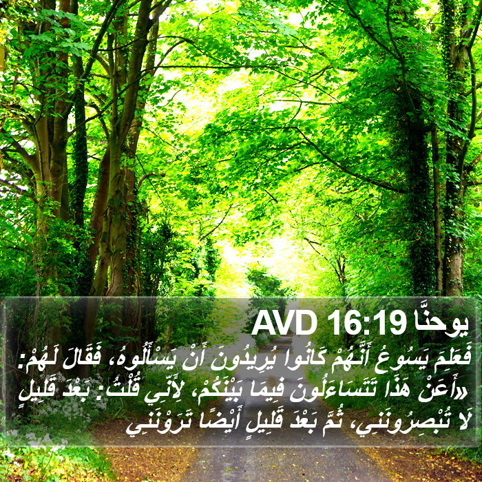 يوحنَّا 16:19 AVD Bible Study