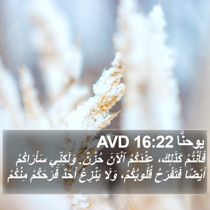 يوحنَّا 16:22 AVD Bible Study