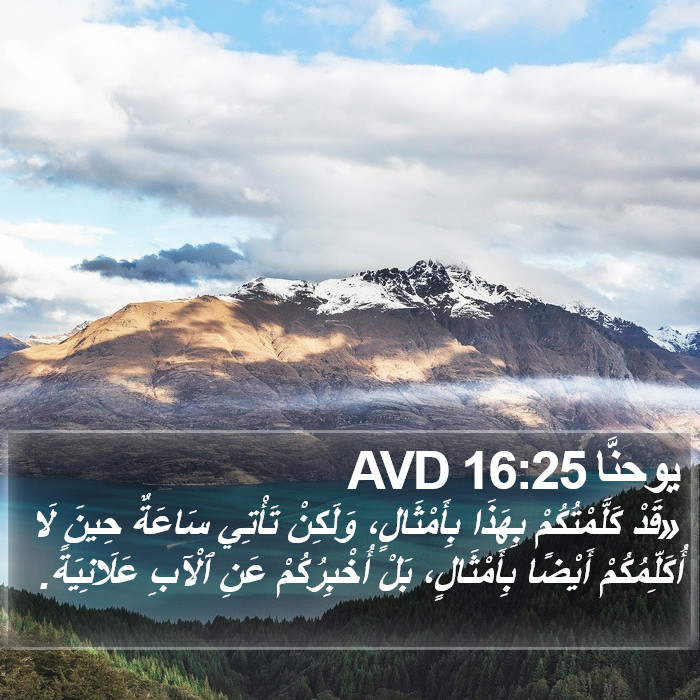يوحنَّا 16:25 AVD Bible Study