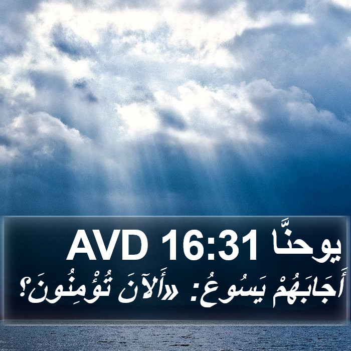يوحنَّا 16:31 AVD Bible Study