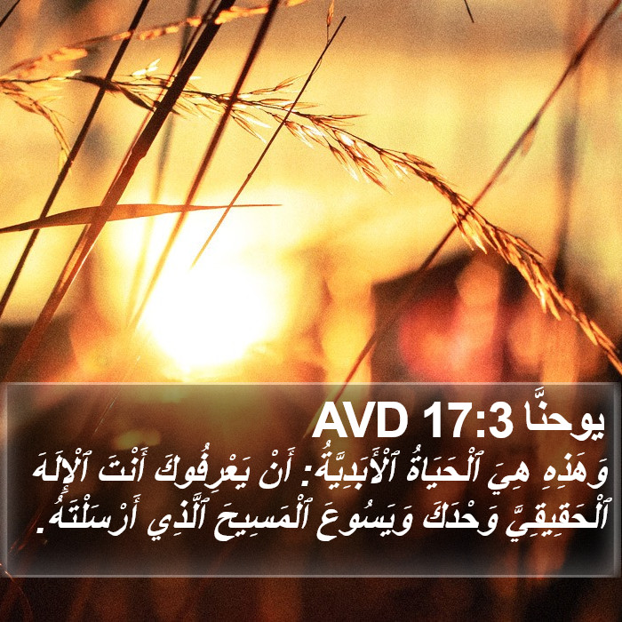 يوحنَّا 17:3 AVD Bible Study