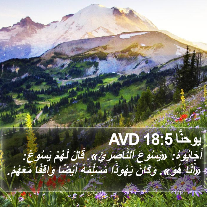 يوحنَّا 18:5 AVD Bible Study