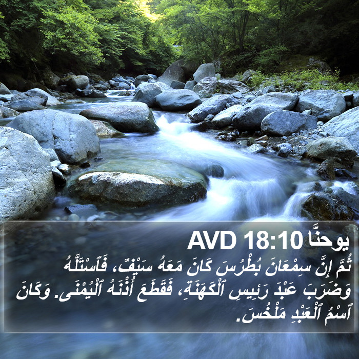 يوحنَّا 18:10 AVD Bible Study
