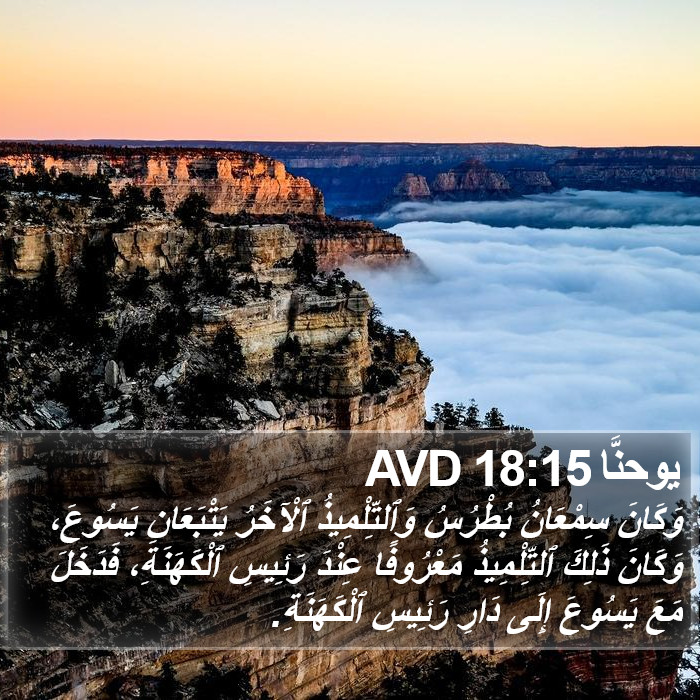 يوحنَّا 18:15 AVD Bible Study