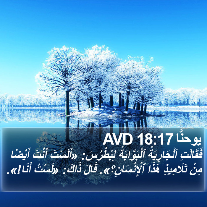 يوحنَّا 18:17 AVD Bible Study