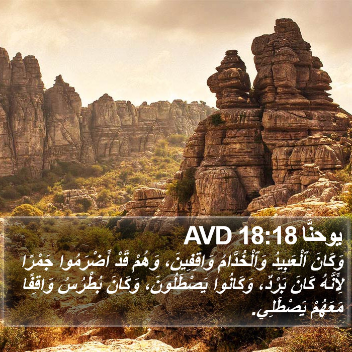يوحنَّا 18:18 AVD Bible Study