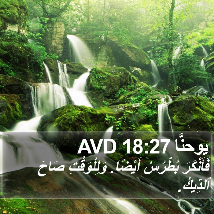 يوحنَّا 18:27 AVD Bible Study
