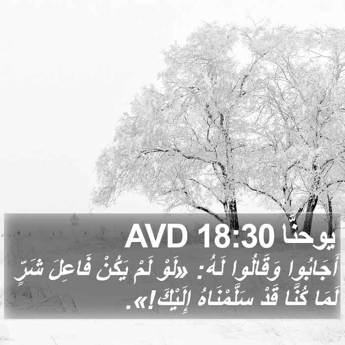 يوحنَّا 18:30 AVD Bible Study