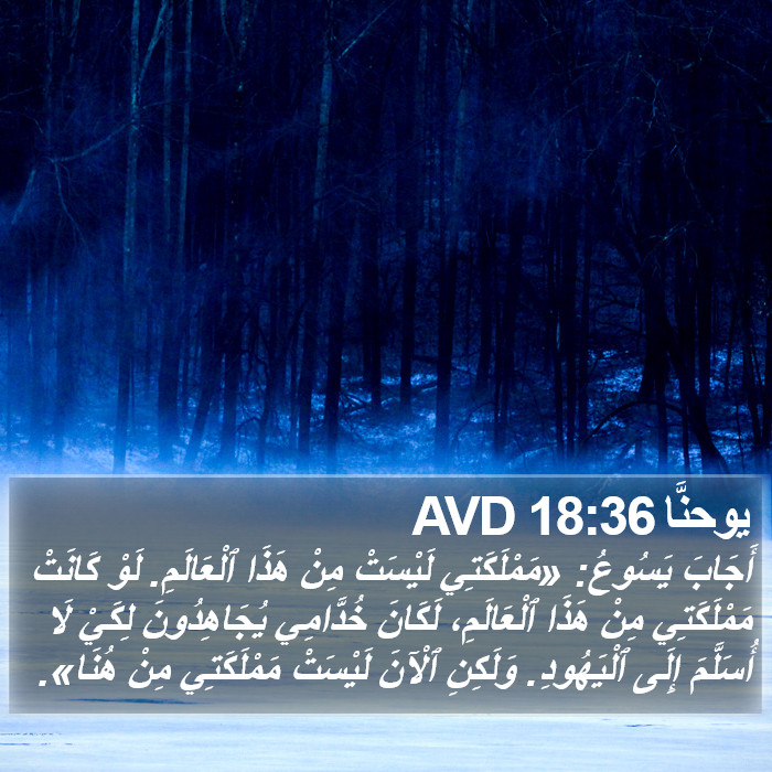 يوحنَّا 18:36 AVD Bible Study