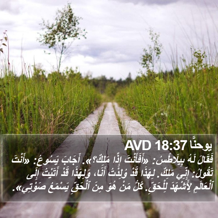 يوحنَّا 18:37 AVD Bible Study