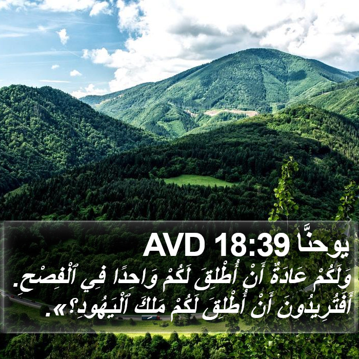 يوحنَّا 18:39 AVD Bible Study