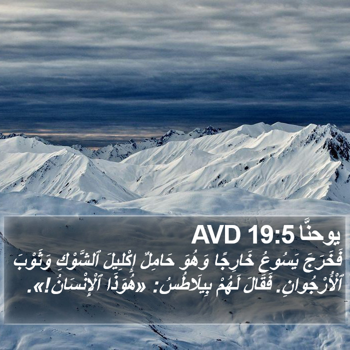 يوحنَّا 19:5 AVD Bible Study