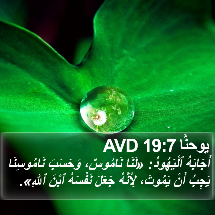 يوحنَّا 19:7 AVD Bible Study