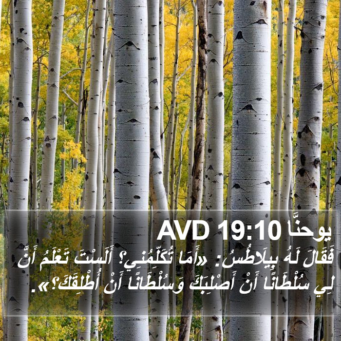 يوحنَّا 19:10 AVD Bible Study