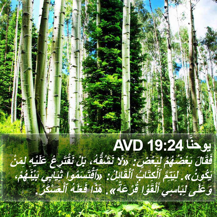 يوحنَّا 19:24 AVD Bible Study