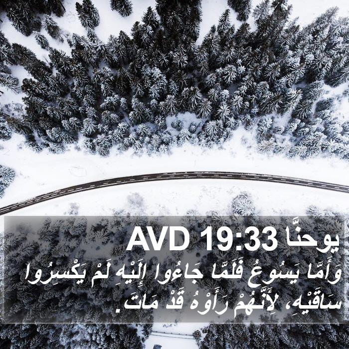 يوحنَّا 19:33 AVD Bible Study