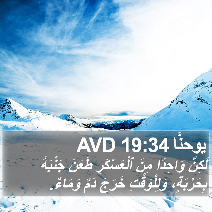 يوحنَّا 19:34 AVD Bible Study