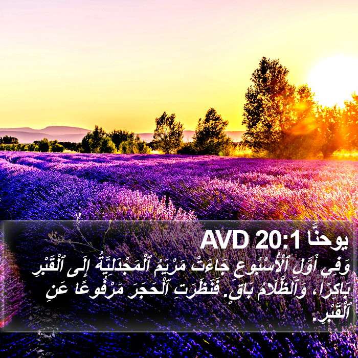 يوحنَّا 20:1 AVD Bible Study
