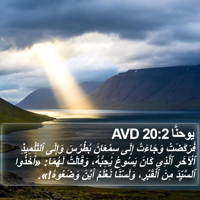 يوحنَّا 20:2 AVD Bible Study