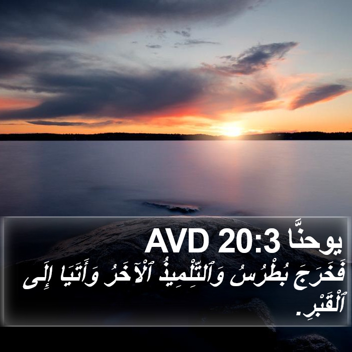 يوحنَّا 20:3 AVD Bible Study