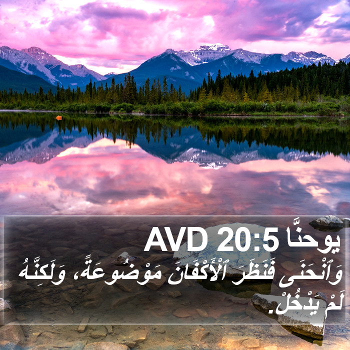 يوحنَّا 20:5 AVD Bible Study