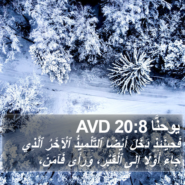 يوحنَّا 20:8 AVD Bible Study