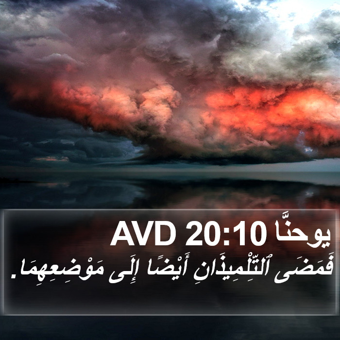 يوحنَّا 20:10 AVD Bible Study