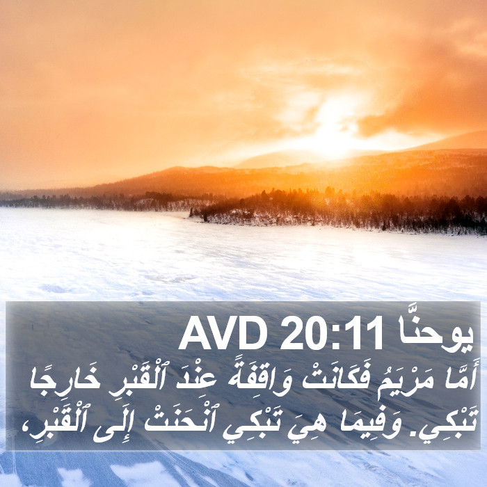 يوحنَّا 20:11 AVD Bible Study