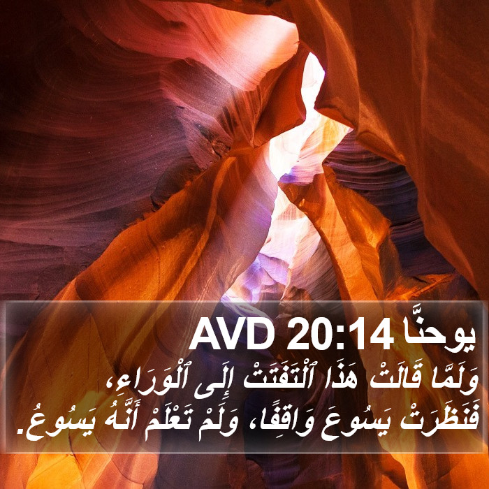 يوحنَّا 20:14 AVD Bible Study