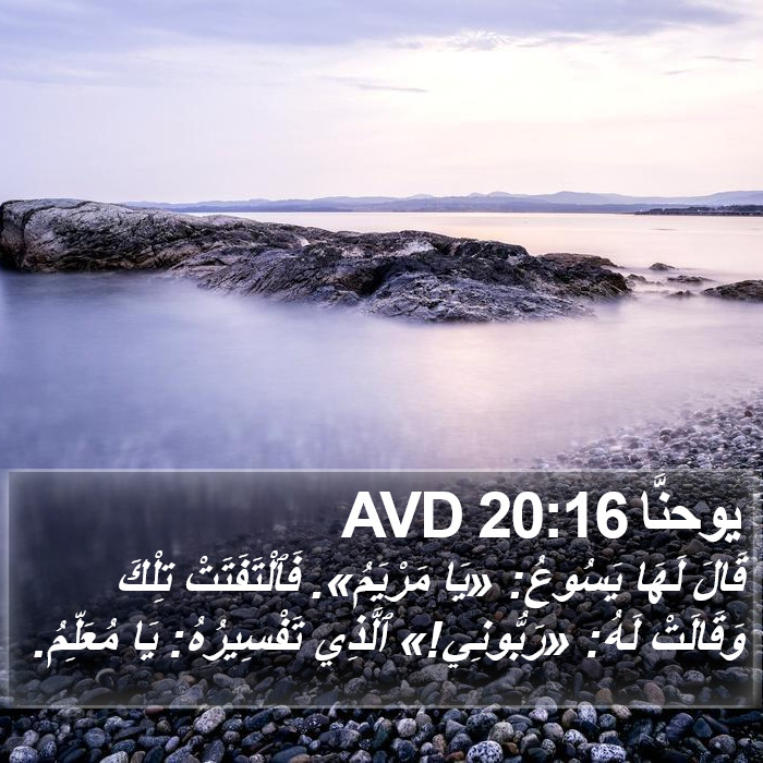 يوحنَّا 20:16 AVD Bible Study