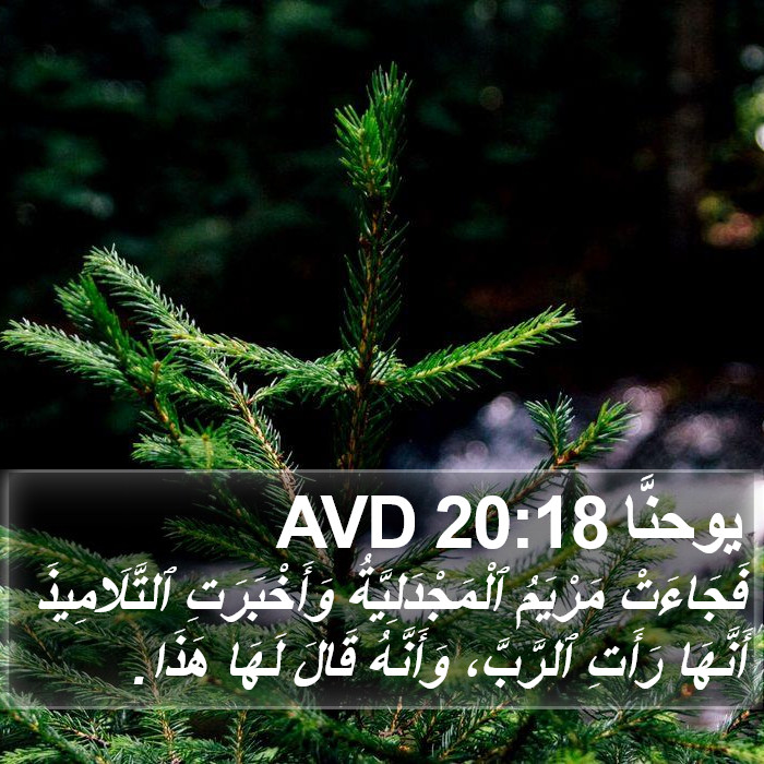 يوحنَّا 20:18 AVD Bible Study
