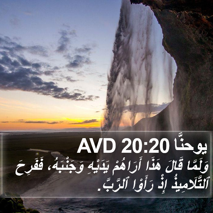 يوحنَّا 20:20 AVD Bible Study