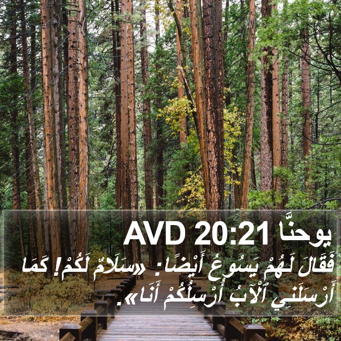 يوحنَّا 20:21 AVD Bible Study