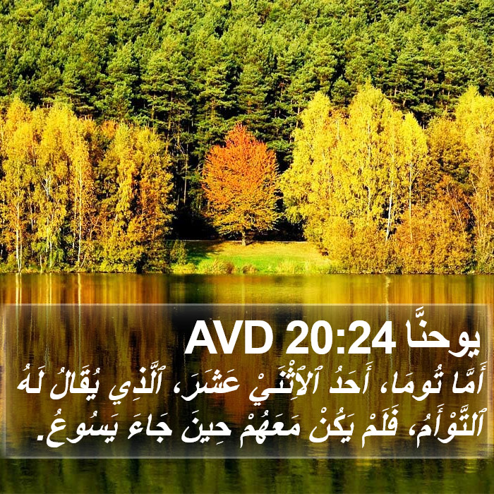 يوحنَّا 20:24 AVD Bible Study