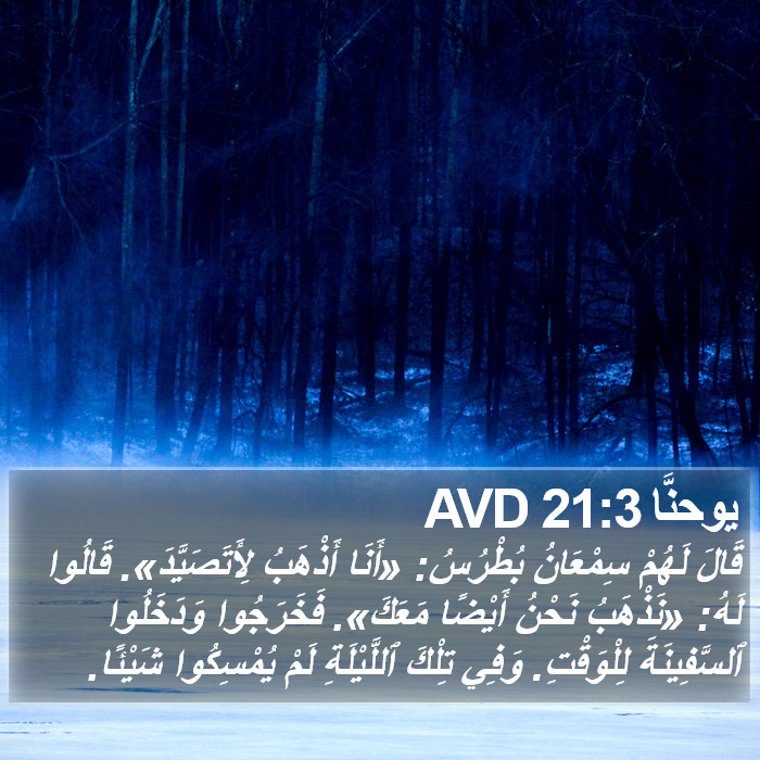 يوحنَّا 21:3 AVD Bible Study