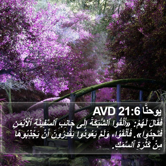 يوحنَّا 21:6 AVD Bible Study