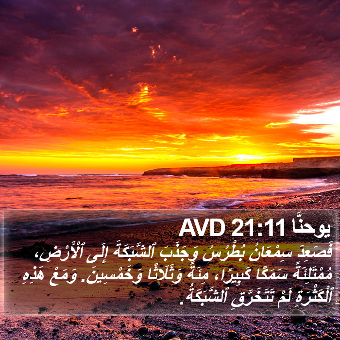 يوحنَّا 21:11 AVD Bible Study