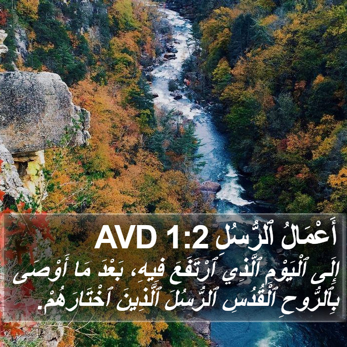 أَعْمَالُ ٱلرُّسُلِ 1:2 AVD Bible Study