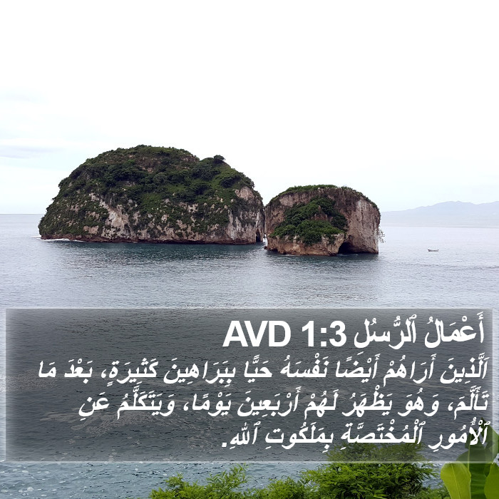 أَعْمَالُ ٱلرُّسُلِ 1:3 AVD Bible Study